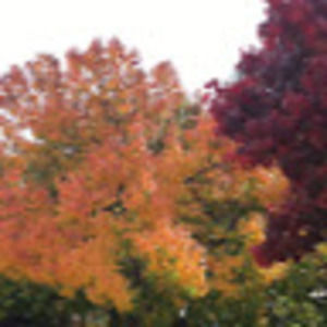 Meet your Posher, Claire